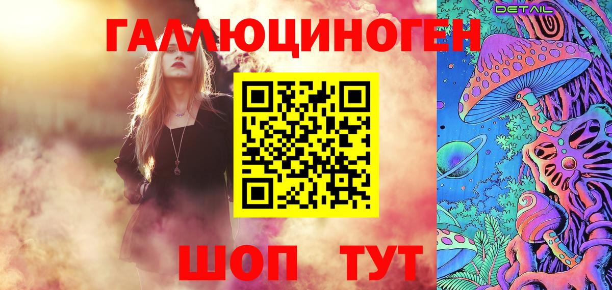 Галлюциногенные грибы Psilocybe Тосно
