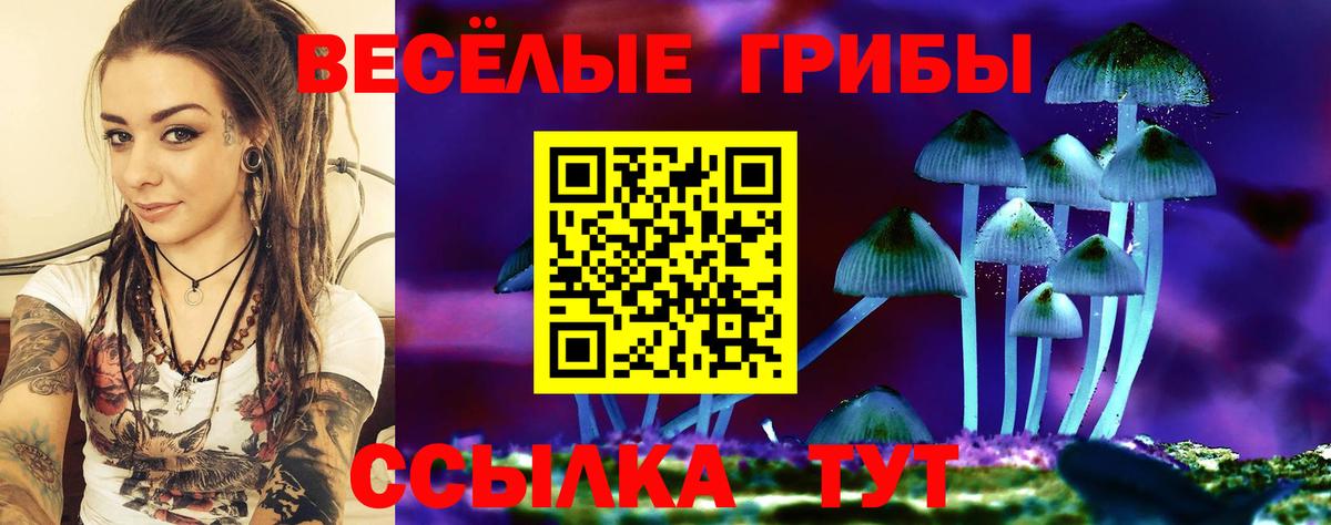 Галлюциногенные грибы Cubensis  Вход с VPN  Тосно 
